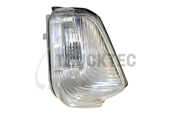 0258364 Trucktec Покажчик повороту дзеркала, правий
